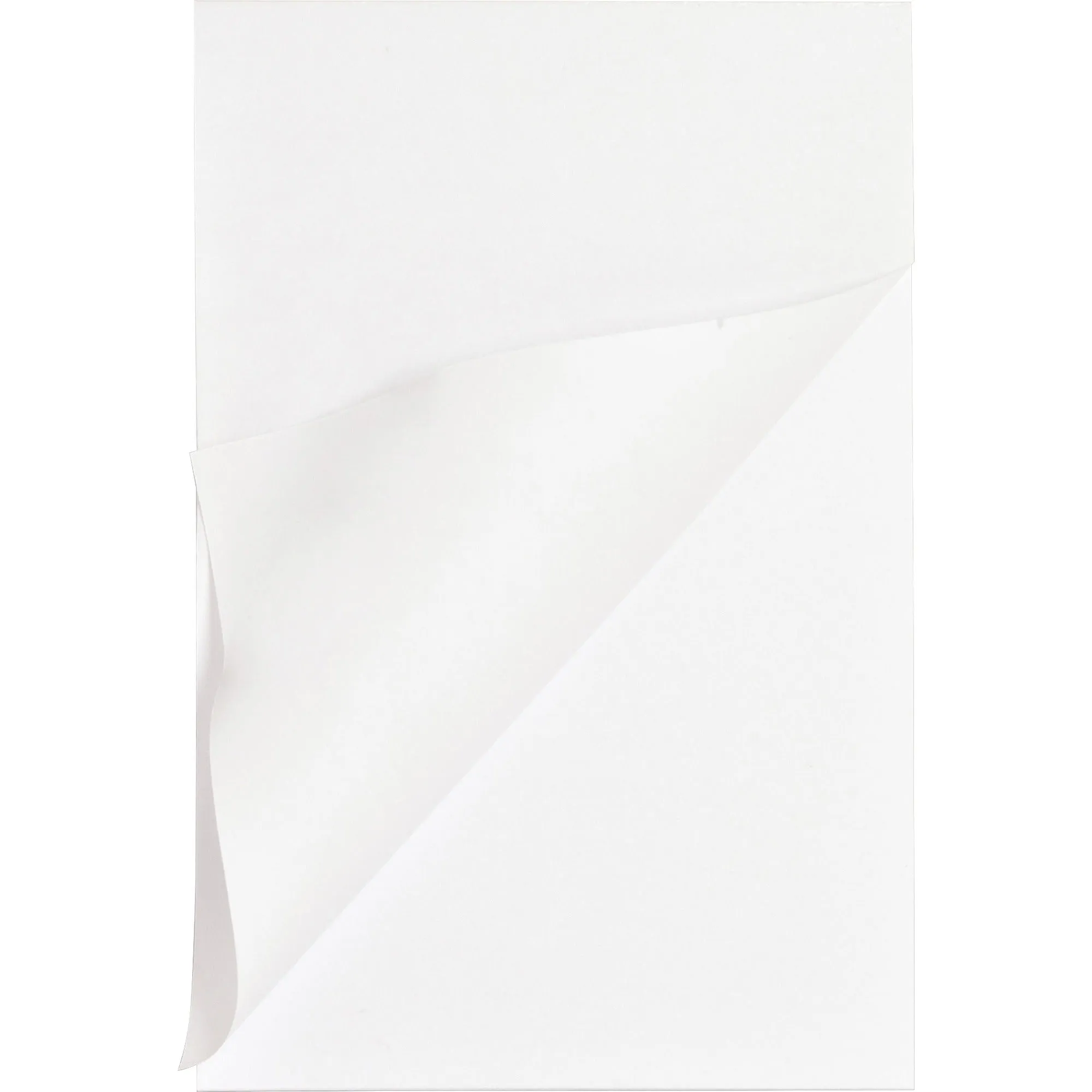 Business Source Plain Memo Pads