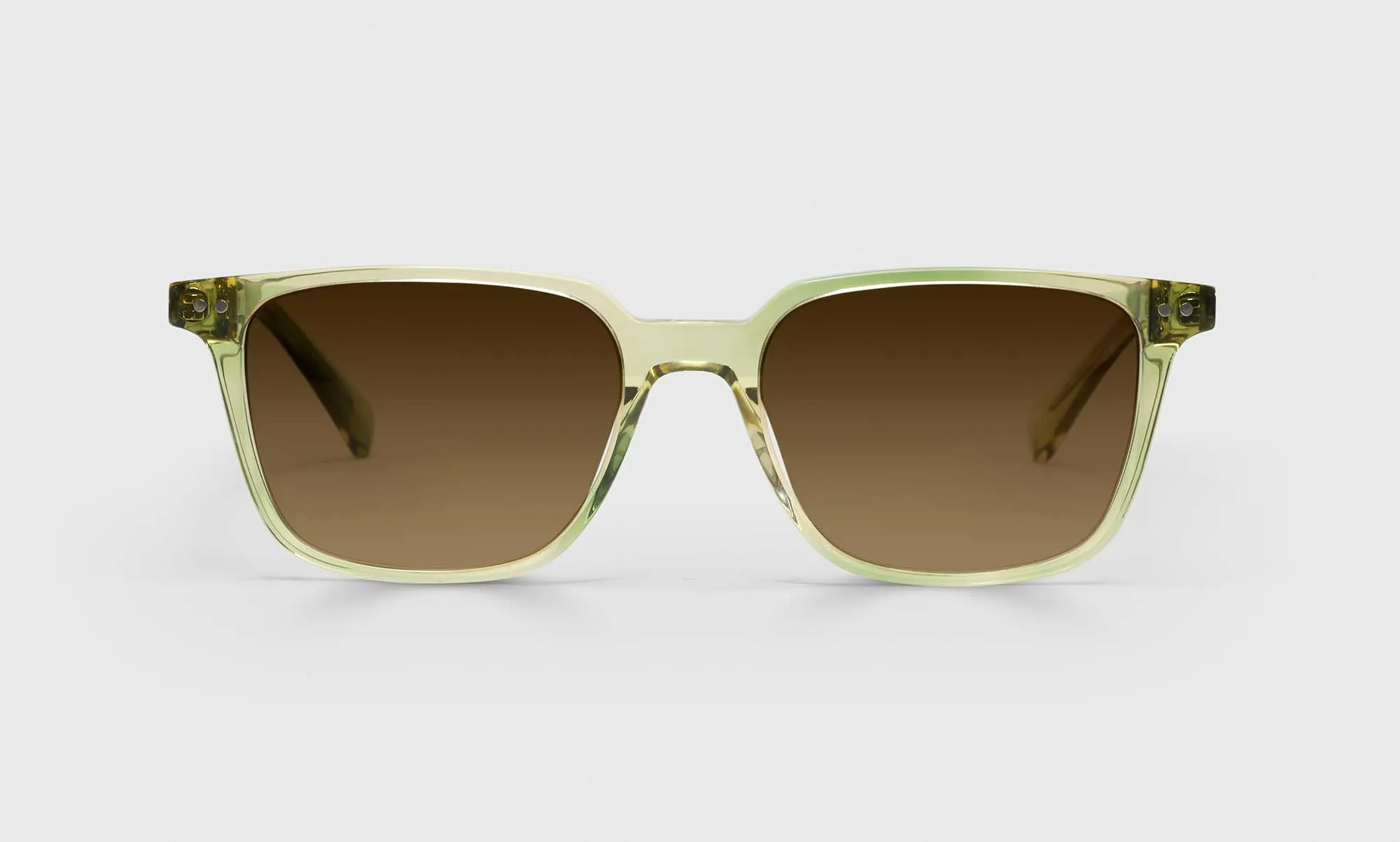 C Suite Blue Light Glasses