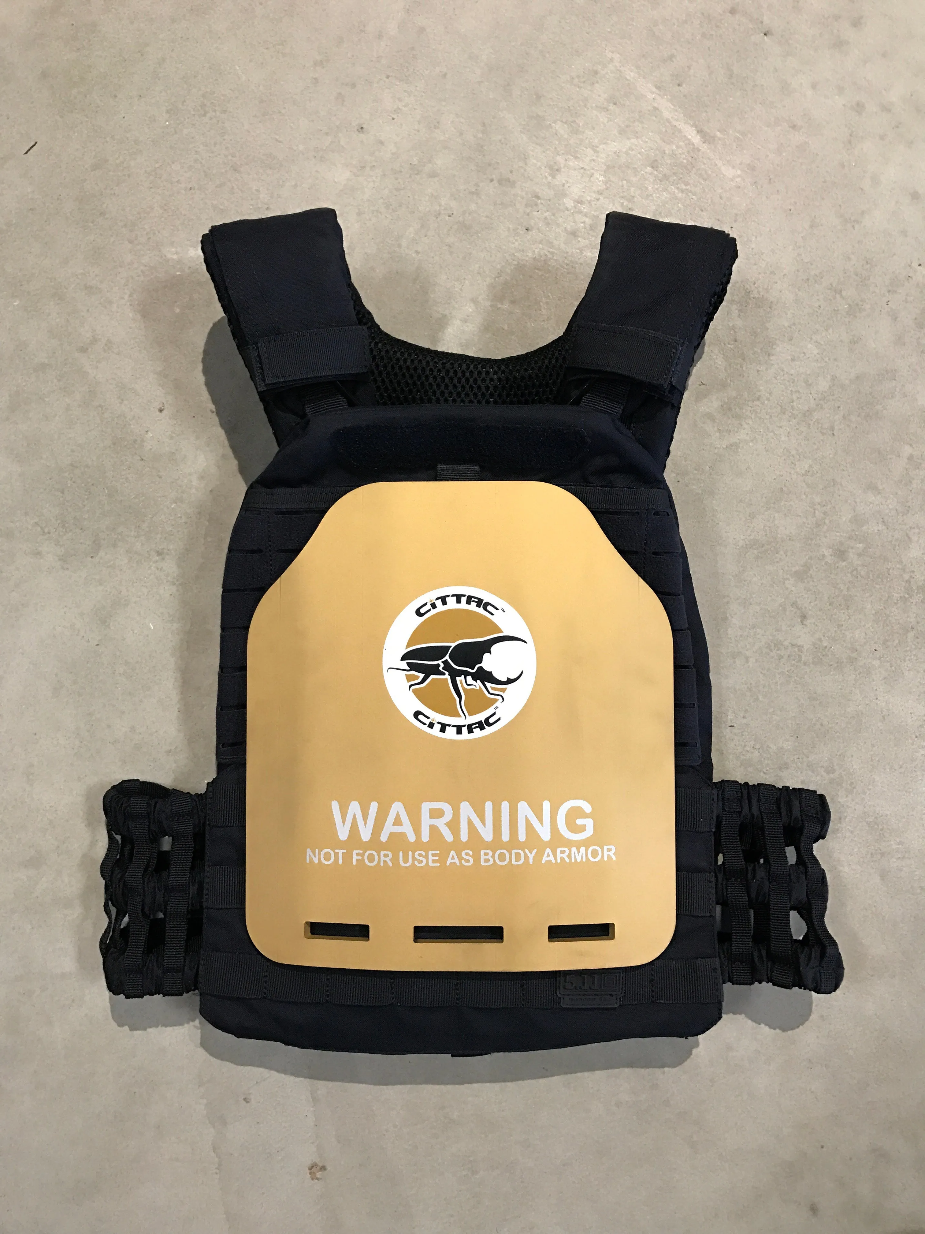 Cittac Fitness Plates - Gold