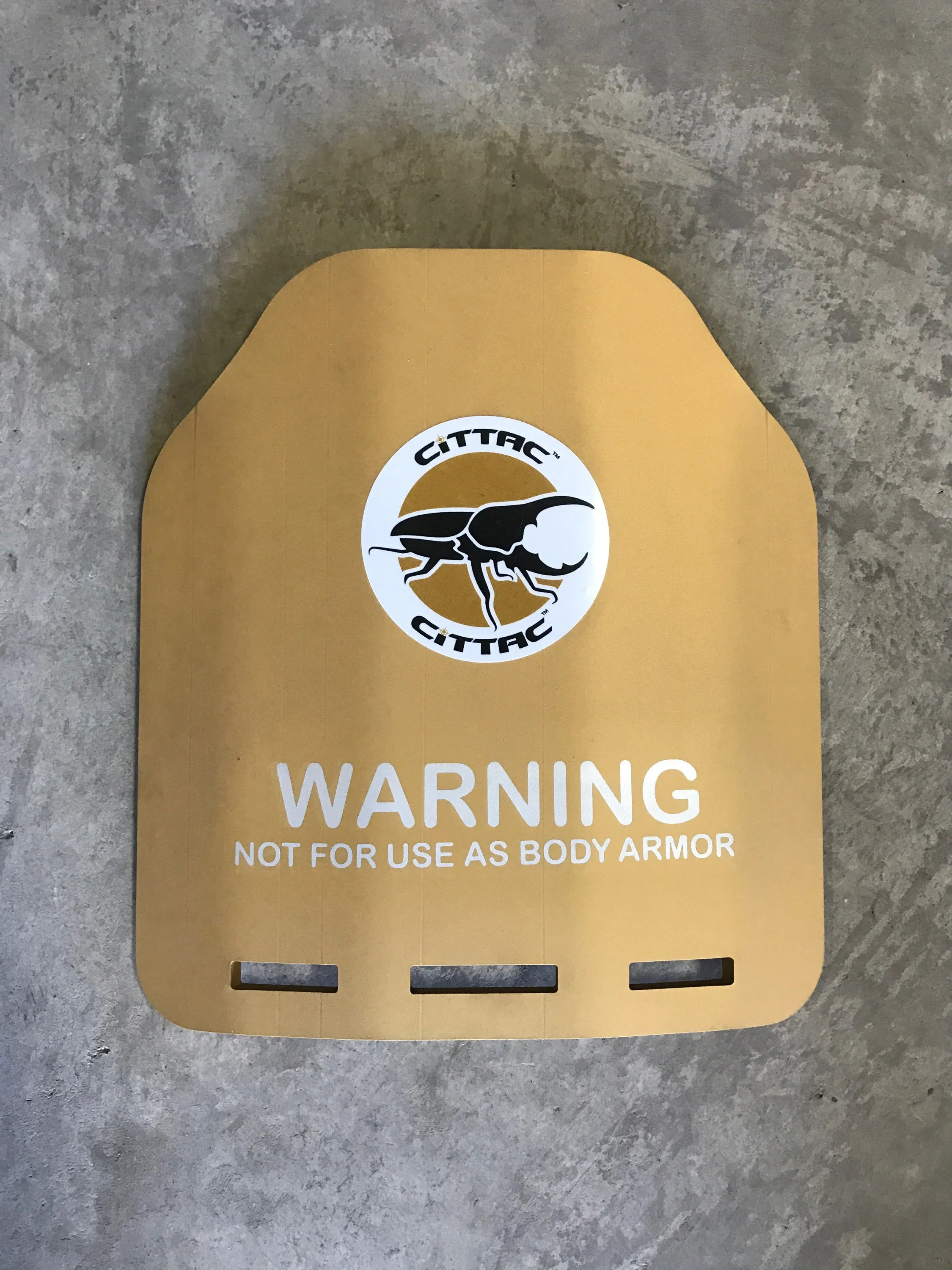 Cittac Fitness Plates - Gold