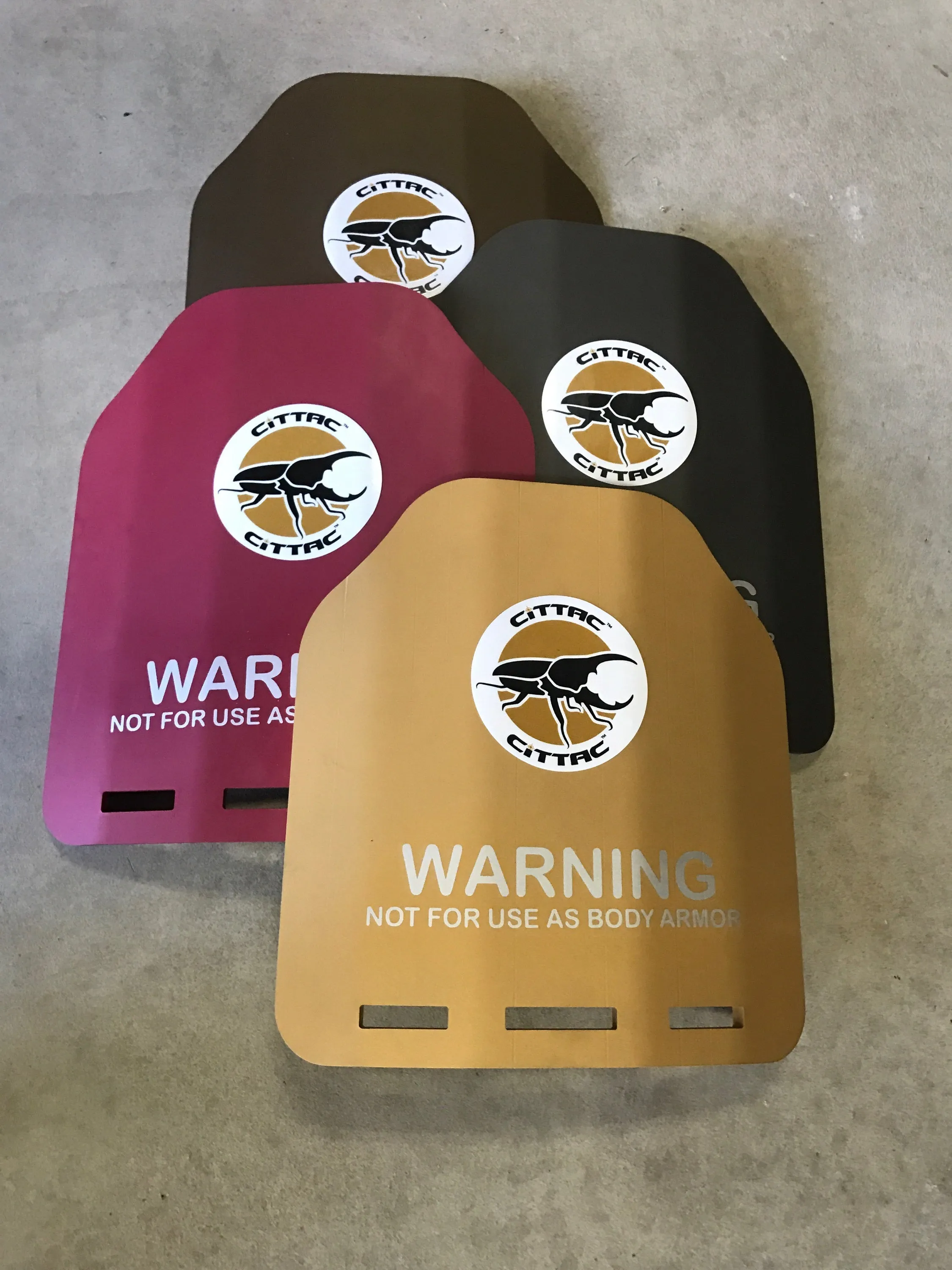 Cittac Fitness Plates - Gold