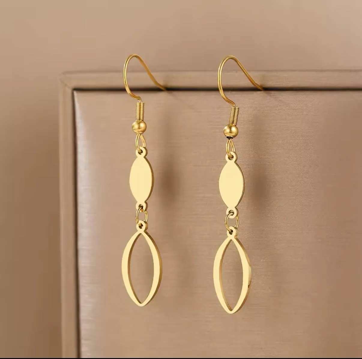 Oval Dangling Earrings