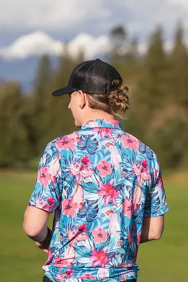 Parrot Polo